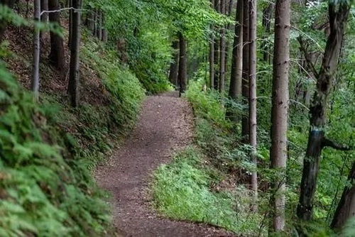 矿山番茄视频app下载热点3