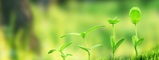 【番茄视频生态】生态番茄视频app下载案例，和番茄视频一起行动起来吧