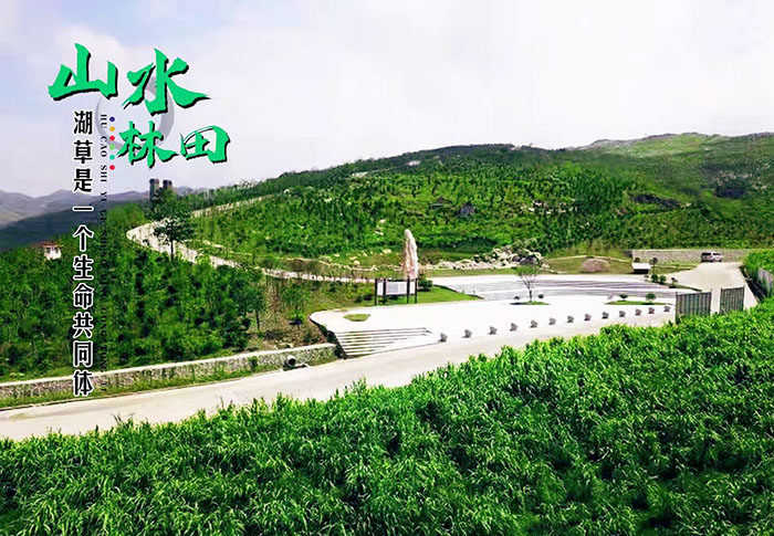 湖南省娄底市冷水江锑煤矿区山水林田湖草生态保护番茄视频app下载项目
