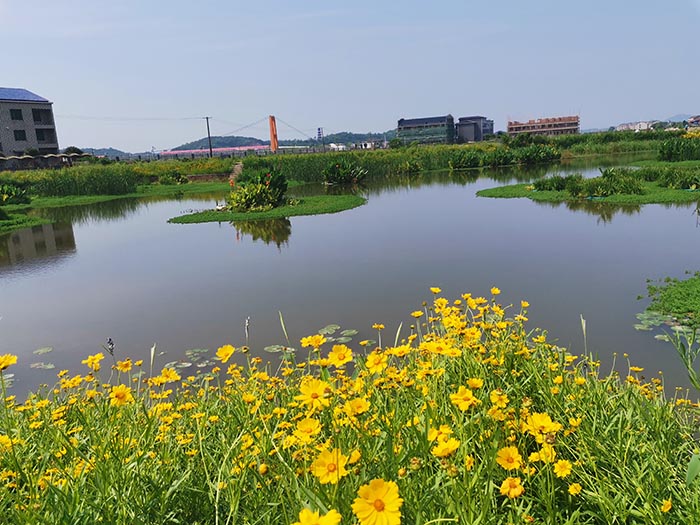 衡阳县蒸水流域山水林田湖草生态保护番茄视频app下载工程试点项目