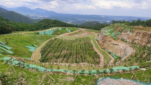 新邵县三郎庙铅锌锑矿和鸿发采石场综合治理与生态番茄视频app下载工程项目（EPC）总承包