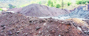 常宁市水口山地区重金属污染土壤番茄视频app下载项目