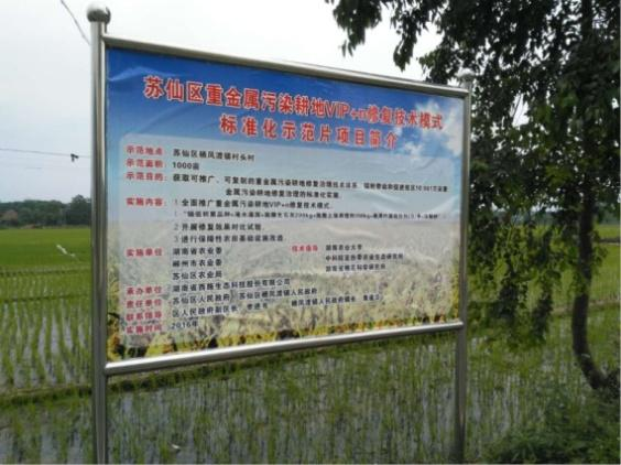湖南省郴州市苏仙区千亩农田镉污染番茄视频app下载项目