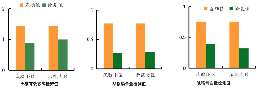 湖南省郴州市苏仙区千亩农田镉污染番茄视频app下载项目