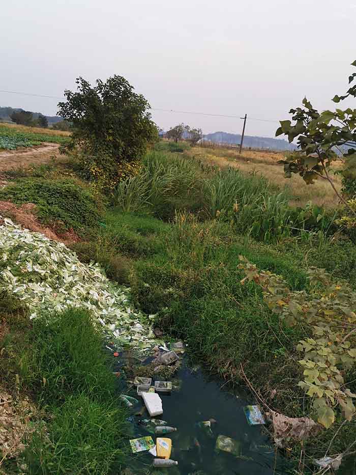 衡阳县蒸水流域山水林田湖草生态保护番茄视频app下载工程试点项目