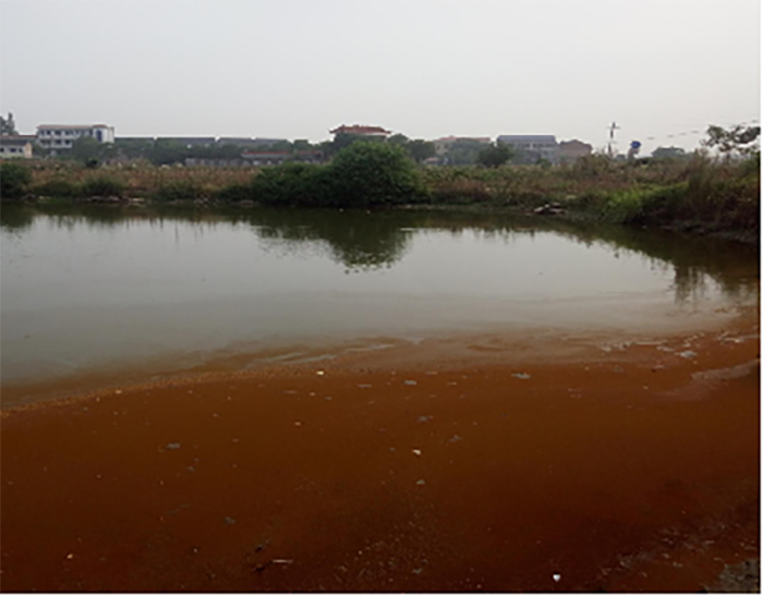 衡阳县蒸水流域山水林田湖草生态保护番茄视频app下载工程试点项目