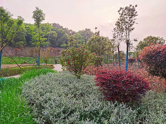 衡阳市常宁水口山铅锌煤矿区山水林田湖草生态保护番茄视频app下载试点工程