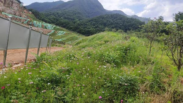 新邵县三郎庙铅锌锑矿和鸿发采石场综合治理与生态番茄视频app下载工程项目（EPC）总承包